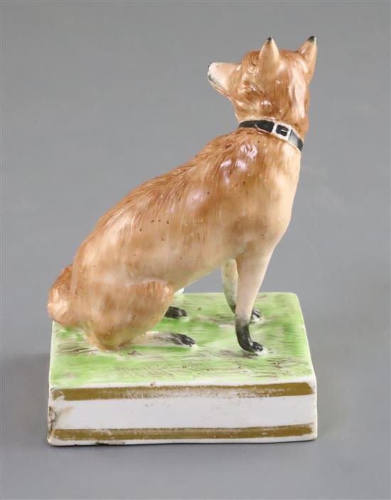 A Derby porcelain figure of a fox, c.1810-30, H. 11.5cm